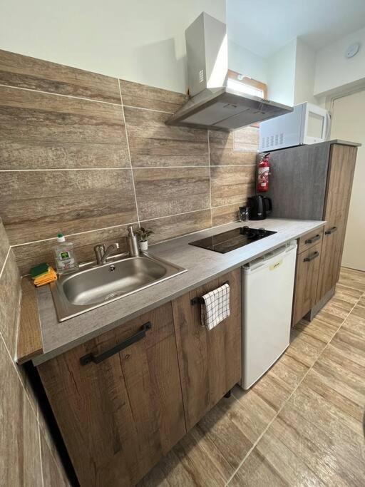 Superbe Appartement A 15 Min De Lyon Saint-Fons Экстерьер фото